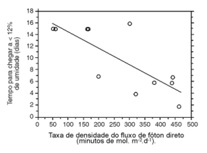 figura6 (1)