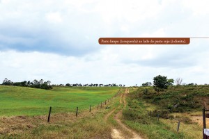 foto01_pecVerde