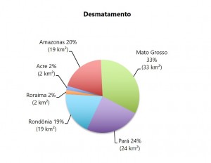 Desmatamento novembro 2015