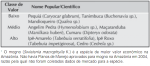 image (11)