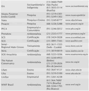 image (14)