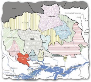 image (3)