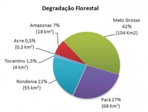 maio6