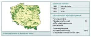 resumodostatusdasflorestas10