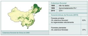 resumodostatusdasflorestas3 (1)