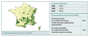resumodostatusdasflorestas4