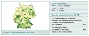 resumodostatusdasflorestas5