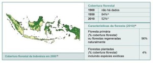 resumodostatusdasflorestas7