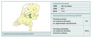 resumodostatusdasflorestas9