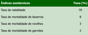 tab4_anexoIndices