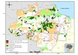 transparencia_florestal_amazonia