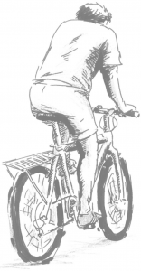 transporte
