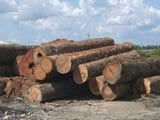 wood_as_economic